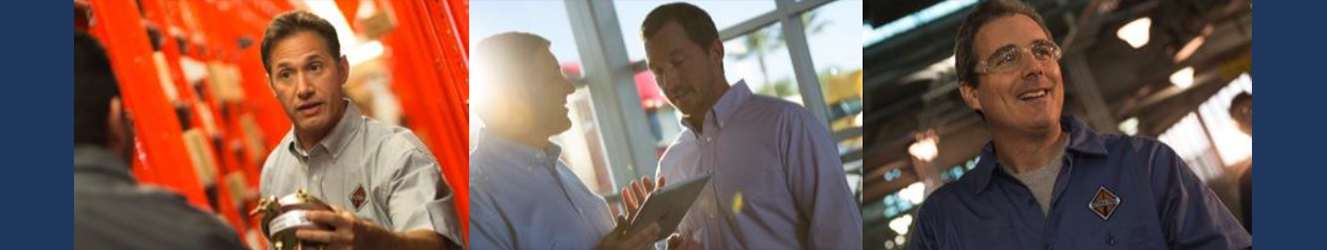 Go to carolinainternational.com (Order%20Parts%20Online%2024-7%20with%20RepairLink subpage)